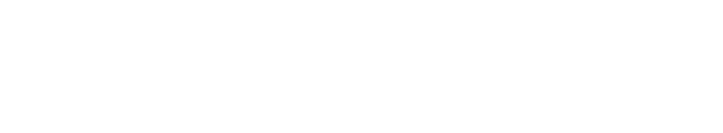 Team System